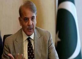 பருக்களில் இருந்து விடுபட எளிமையான முறையில் வீட்டு வைத்தியம்