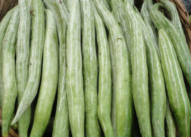 புடலங்காய் உண்போம்... உடலை பேணுவோம்... நோயை தூர விரட்டுவோம்