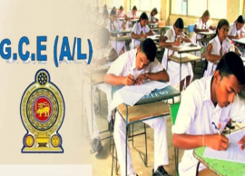 கல்விப் பொது தராதர உயர்தரப் பரீட்சைக்கு தேவையான நடவடிக்கை