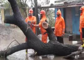 ராஜஸ்தானில் கொட்டு மழையால் மக்கள் பாதிப்பு