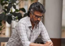 தமிழகத்தில் மட்டும் ரூ.155 கோடி வசூல் செய்துள்ளதாம் ஜெயிலர் படம்