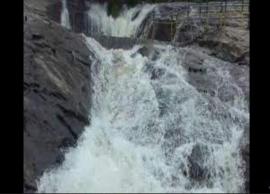 கும்பக்கரை அருவியில் நீர்வரத்து அதிகரிப்பு: குளிப்பதற்கு தடை விதிப்பு