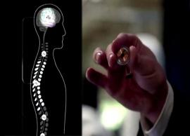 நியூராலிங் நிறுவனத்தின் சிப்களை மனிதர்களிடம் சோதனை செய்ய அனுமதி