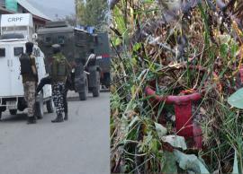 3 எல்.பி.ஜி சிலிண்டர்களுடன் இணைத்து தீவிரவாதிகள் வைத்திருந்த வெடிகுண்டு செயலிழப்பு