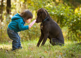 நாய்களுடன் குழந்தைகள் விளையாடும் போது ஏற்படும் பாதிப்புகள்