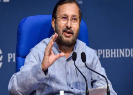 மாசுபாடு பிரச்சினையை ஒரே நாளில் தீர்க்க முடியாது - ஜவடேகர்