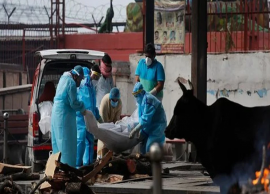 பக்தர்கள் கையில் முத்தம் கொடுத்த சாமியார் கொரோனாவுக்கு உயிரிழப்பு