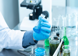 உலகம் முழுவதுமுள்ள கொரோனா தடுப்பூசி ஆராய்ச்சி தகவல்களை சீனா திருடுவதாக அமெரிக்கா குற்றச்சாட்டு