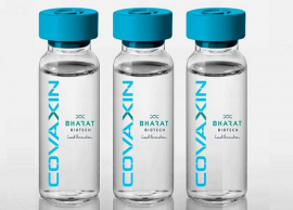 கொரோனாவை தடுக்க கோவேக்சின் தடுப்பூசி பிப்ரவரி மாதம் வந்து விடும் - மத்திய அரசு விஞ்ஞானி