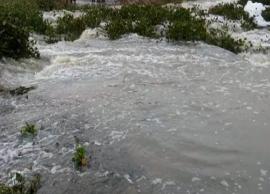 தொடர் மழையால் சென்னையில் நிலத்தடி நீர்மட்டம் வேகமாக உயர்வு