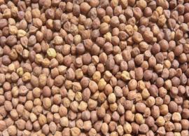 பி.எச்.எச் கார்டுதாரர்களுக்கு இன்று முதல் கொண்டைக்கடலை இலவசம்