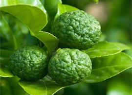 நார்த்தங்காயில் இருக்கும் வியக்க வைக்கும் ஆரோக்கிய நன்மைகள்!