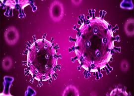 சிவகங்கையில் பாதுகாப்பு பணியில் இருந்த போலீஸ்காரர் ஒருவருக்கு கொரோனா உறுதி