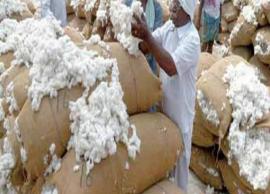 நாமக்கல்லில் 6 ஆயிரம் பருத்தி மூட்டைகள் ஏலம்