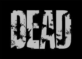 ரயிலில் அடிபட்டு 2 வாலிபர்கள் உயிரிழப்பு; போலீஸ் விசாரணை