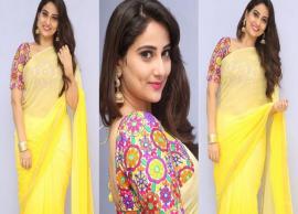 சமீப காலங்களில் அறிமுகமாகியிருக்கும் புதுப்புது டிசைன் சேலைகள்!!