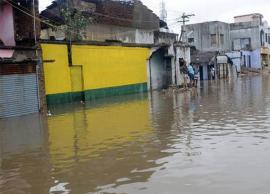 வேலூர் மற்றும் புதுச்சேரியின் வெள்ள சேதங்களை மத்திய குழுவினர் ஆய்வு