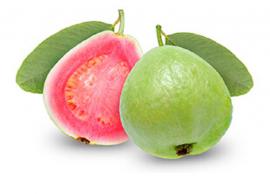 மருத்துவ குணங்கள் அடங்கியுள்ள கொய்யா..