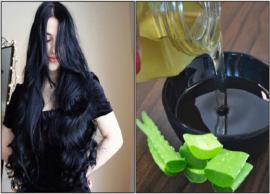 முடி தொடர்பான அனைத்து பிரச்சனைகளும் தீர ஒரே எளிய வழி இது தான்