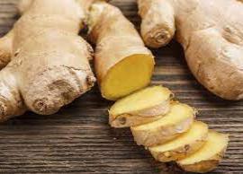 இஞ்சி மூலம் நாம் எப்படி ஆரோக்கியம் பற்றி தெரிந்துகொள்வோமா