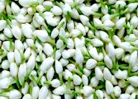 திருப்பூரில் மல்லிகைப்பூ விலை கிடுகிடுவென உயர்வு