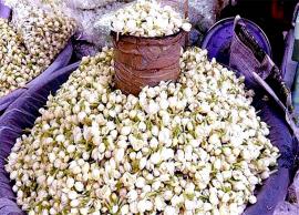 புதிய உச்சத்தை தொட்ட மல்லிகைப்பூ விலை