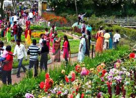 கொடைக்கானலுக்கு சுற்றுலா பயணிகள் வருகை அதிகரிப்பு...  குதிரை சவாரி மீண்டும் துவங்கியது!