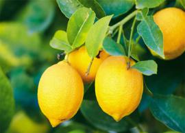 எலுமிச்சையை பயன்படுத்தி சருமத்தை அழகுபடுத்துவது எப்படி?