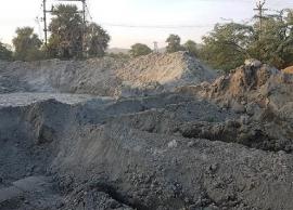 "எம் சான்டால்"  மரங்கள் பாதிப்பு..