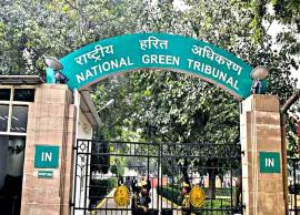 காற்று மாசு ஏற்படுத்தும் நிறுவனங்கள் மீது சட்ட நடவடிக்கை - தேசிய பசுமை தீர்ப்பாயம்