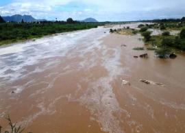 வேலூர் பாலாற்றில் கடும் வெள்ளபெருக்கு... கரையோர மக்களுக்கு வெள்ளஅபாய எச்சரிக்கை