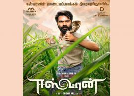 பாம்பை துன்புறுத்தியதாக நடிகர் சிம்பு மீது புகார்