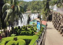 மீண்டும் களைகட்டியது திற்பரப்பு; சுற்றுலா பயணிகள் குளிக்க அனுமதி