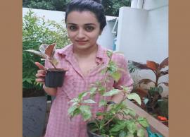 பிரகாஷ்ராஜின் சேலஞ்சை ஏற்று இரண்டு செடிகளை நட்ட த்ரிஷா!