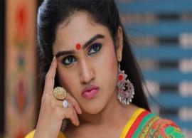 நீங்கள் யாரென்று யூடியூபே என்னிடம் கேட்டுள்ளார்கள்; நடிகை வனிதா பேட்டி