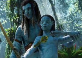 இந்திய பாக்ஸ் ஆபிஸில் இதுவரை எந்த ஹாலிவுட் படமும் செய்யாத சாதனை அவதார் 2  செய்துள்ளது