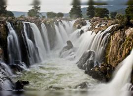 ஒகேனக்கலில் மீண்டும் வெள்ளப்பெருக்கு   ...   சுற்றுலா பயணிகள் செல்ல தடை