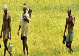 விவசாயிகளுக்கு மாவட்ட அளவிலான விருதுகள் இந்த வரை விண்ணப்பிக்கலாம்