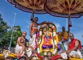 திருப்பதி பிரம்மோற்சவம் 3-ம் நாள் விழா காலை சிம்ம வாகனத்திலும், இரவு முத்துப் பல்லக்கிலும் ஸ்ரீநிவாசர் பவனி