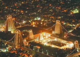 திருவண்ணாமலைக்கு சிறப்பு பேருந்துகள் இயக்கம்