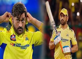 சென்னை சூப்பர் கிங்ஸ் அணியில் தனக்கு வாய்ப்பு கேட்ட யோகி பாபு,  பதில் கொடுத்த கேப்டன்  தோனி