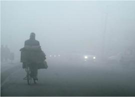 கடும் பனிமூட்டம் மற்றும் தெளிவற்ற வானிலை  ..   ரெயில் சேவையில் பாதிப்பு