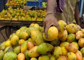 கோயம்பேட்டில் ரசாயனம் கலந்த மாம்பழம் பறிமுதல்