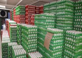 முட்டை விலை அதிகரிக்க வாய்ப்பு