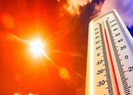 டெல்லியில் வெயிலின் தாக்கம் உயர்வு   ... பள்ளிகள் இயங்கும் நேரத்தில் மாற்றம்