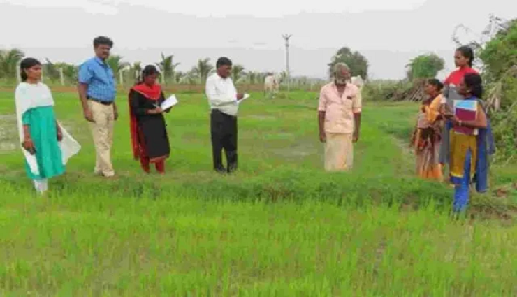 associate director of agriculture,research,agriculture,farmers,cultivation ,வேளாண் இணை இயக்குனர், ஆய்வு, குறுவை, விவசாயிகள், சாகுபடி