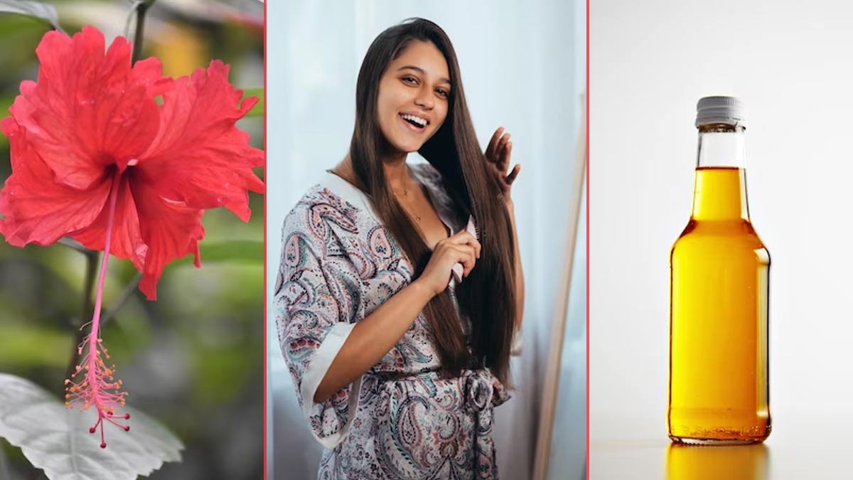 செம்பருத்தி எண்ணெய் இருக்கும் போது முடி உதிர்வு பற்றி ஏன் கவலை!!!