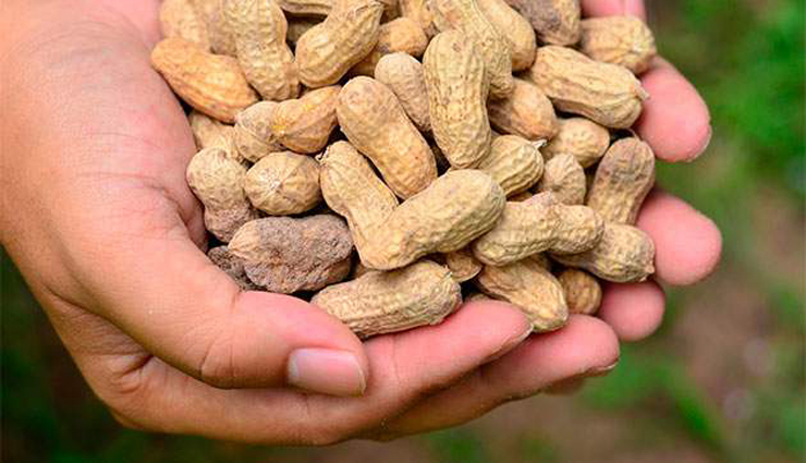 peanut butter,health,freshness,calcium,copper ,வேர்க்கடலை கீர், ஆரோக்கியம், புத்துணர்ச்சி, கால்சியம், காப்பர்