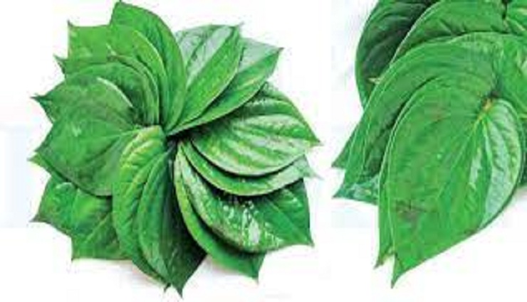 benefits of,betel leaves ,, பயன்கள், வெற்றிலை, மருத்துவக்குணம், சளி, இருமல்