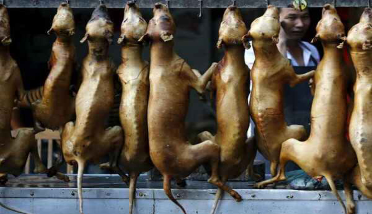 dog meat,court,prohibition,nagaland,vendors ,
நாய் இறைச்சி, நீதிமன்றம், தடை நீக்கம், நாகலாந்து, விற்பனையாளர்கள்